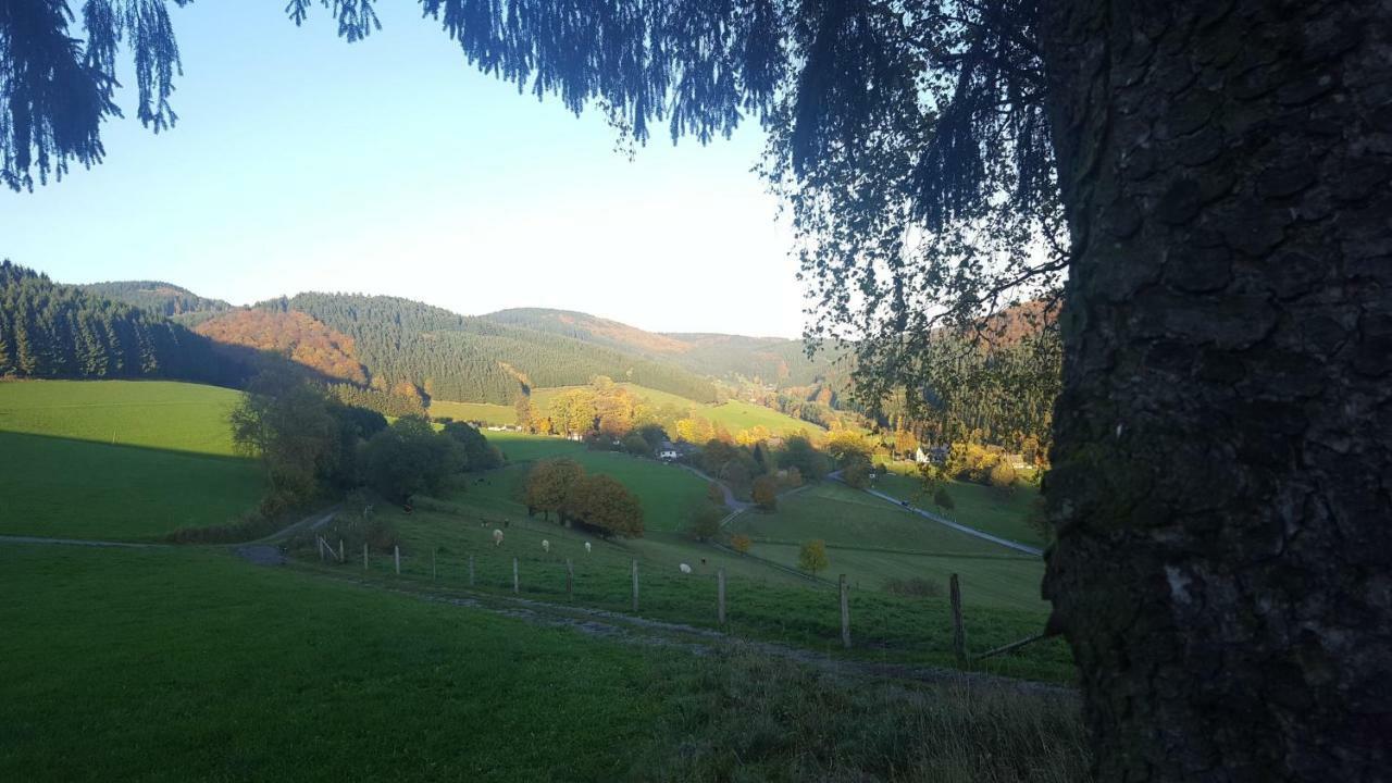 Pension Bergfrieden Schmallenberg Exterior photo