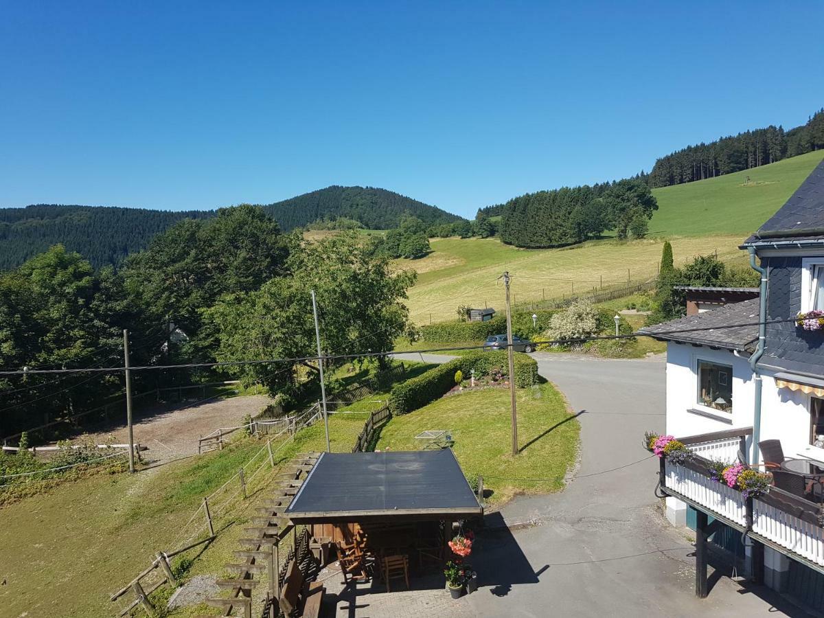 Pension Bergfrieden Schmallenberg Exterior photo